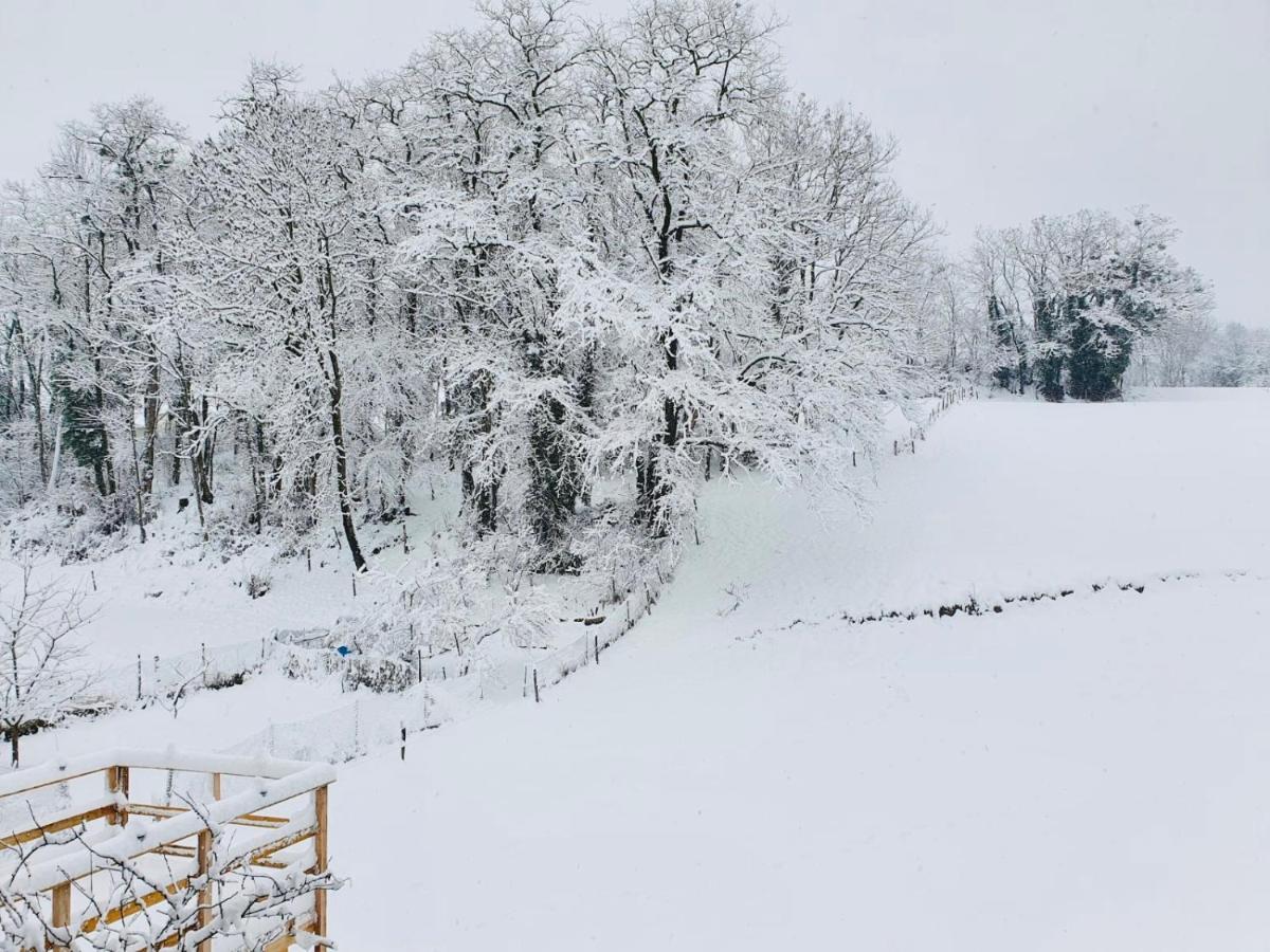 Le Lodge Du Pichat Sainte-Helene-du-Lac Exteriör bild