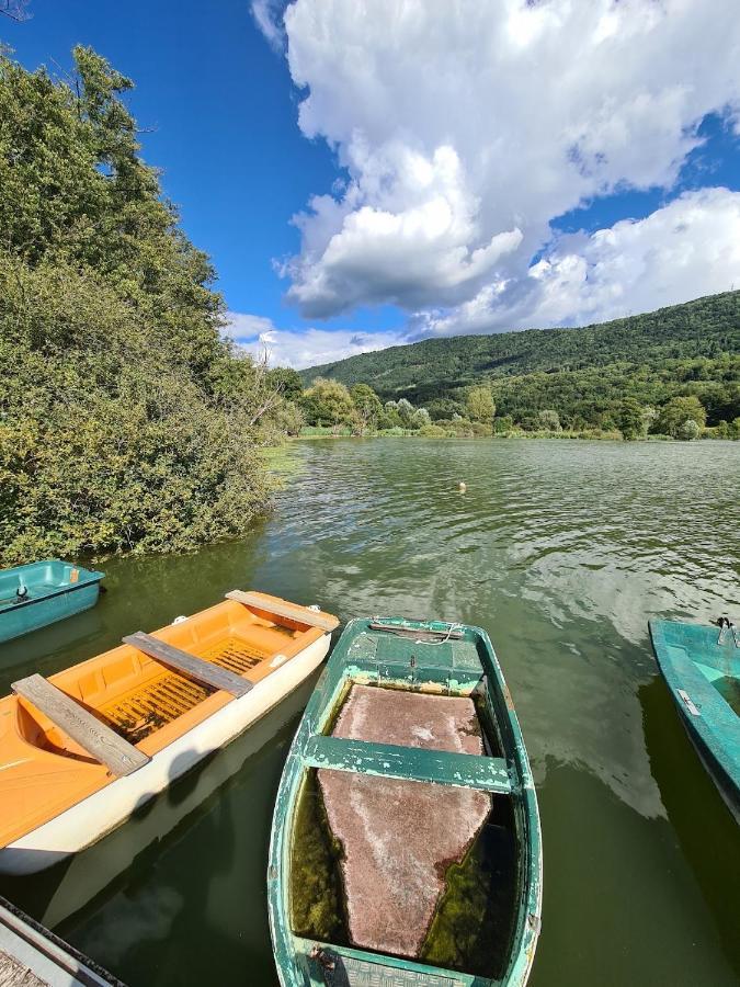 Le Lodge Du Pichat Sainte-Helene-du-Lac Exteriör bild